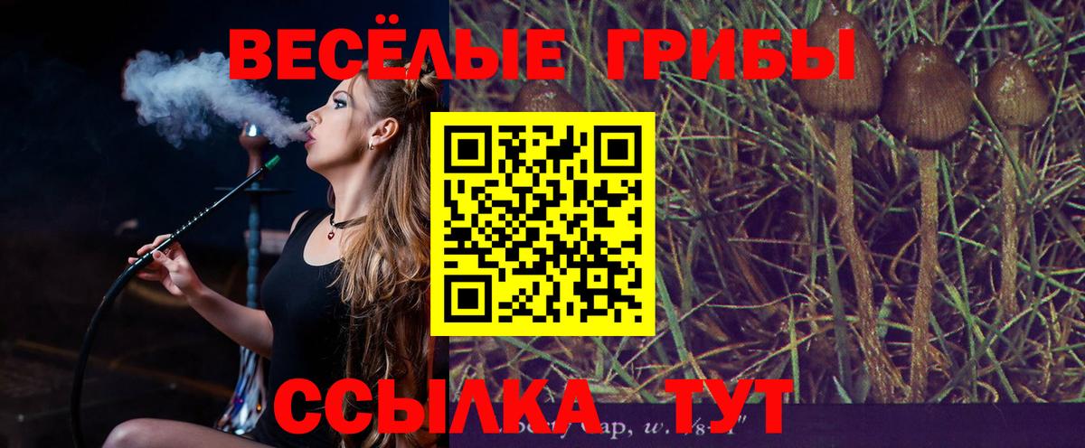 Электрогорск  Галлюциногенные грибы MAGIC MUSHROOMS  Галлюциногенные грибы Magic Shrooms  Вход с VPN 